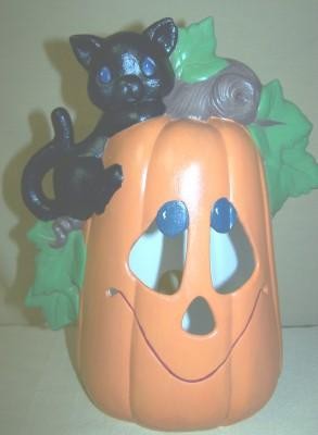 cat on pumpkin