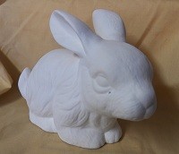 rabbit 7