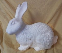 rabbit 8