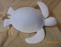 medium sea turtle