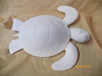 large sea turtle