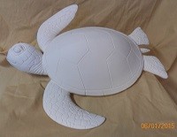small sea turtle