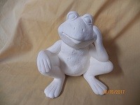 sitting and thinking frog