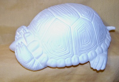see no evil turtle
