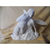 fairy with rabbit
