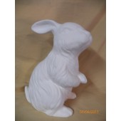 rabbit 1