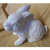 rabbit 4
