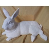 rabbit 9