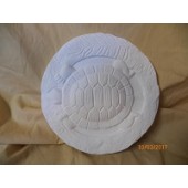 turtle plaque or stepping stone